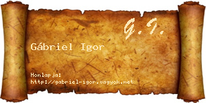 Gábriel Igor névjegykártya